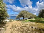 Mochlos Kreta, Mochlos: Grundstück mit Meerblick zu verkaufen Grundstück kaufen